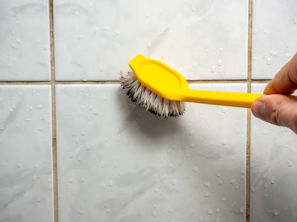 Best Professional Mold Removal  in Kiln, MS
